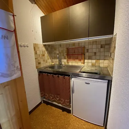 5 Personnes Proche Pistes Et Commerces - Fr-1-733-50 דירה *